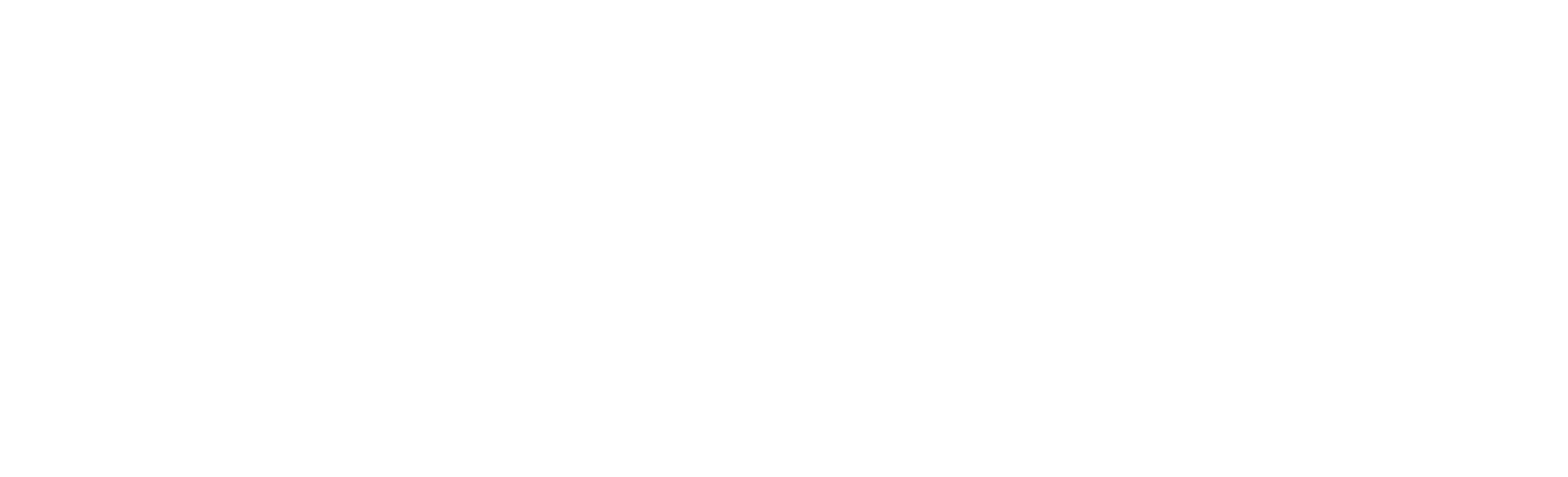 ferreridigital